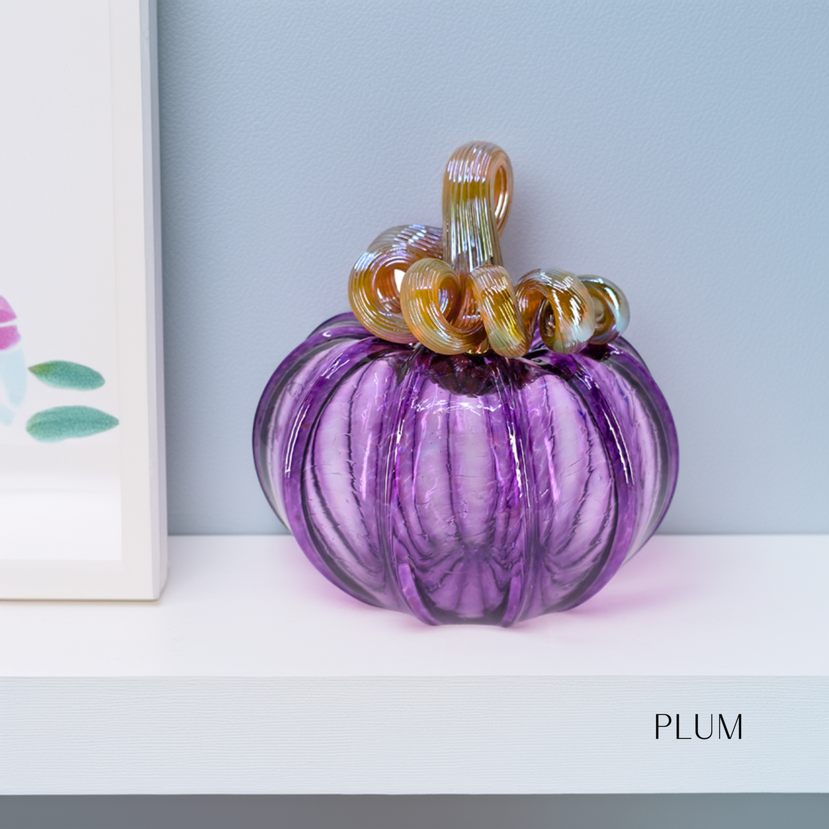 Classic Pumpkin Set 12 Pack