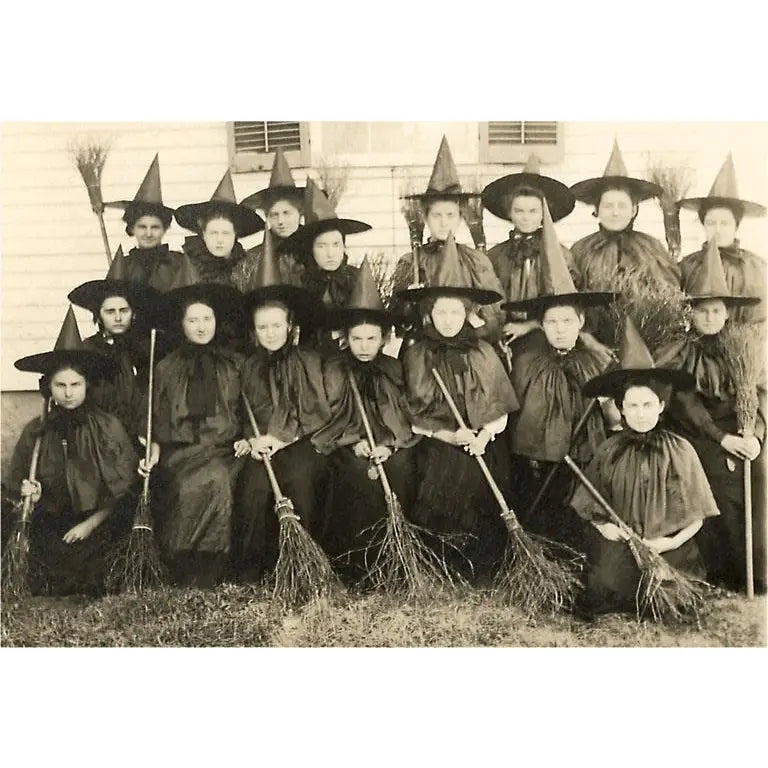 Magnet School for Witches