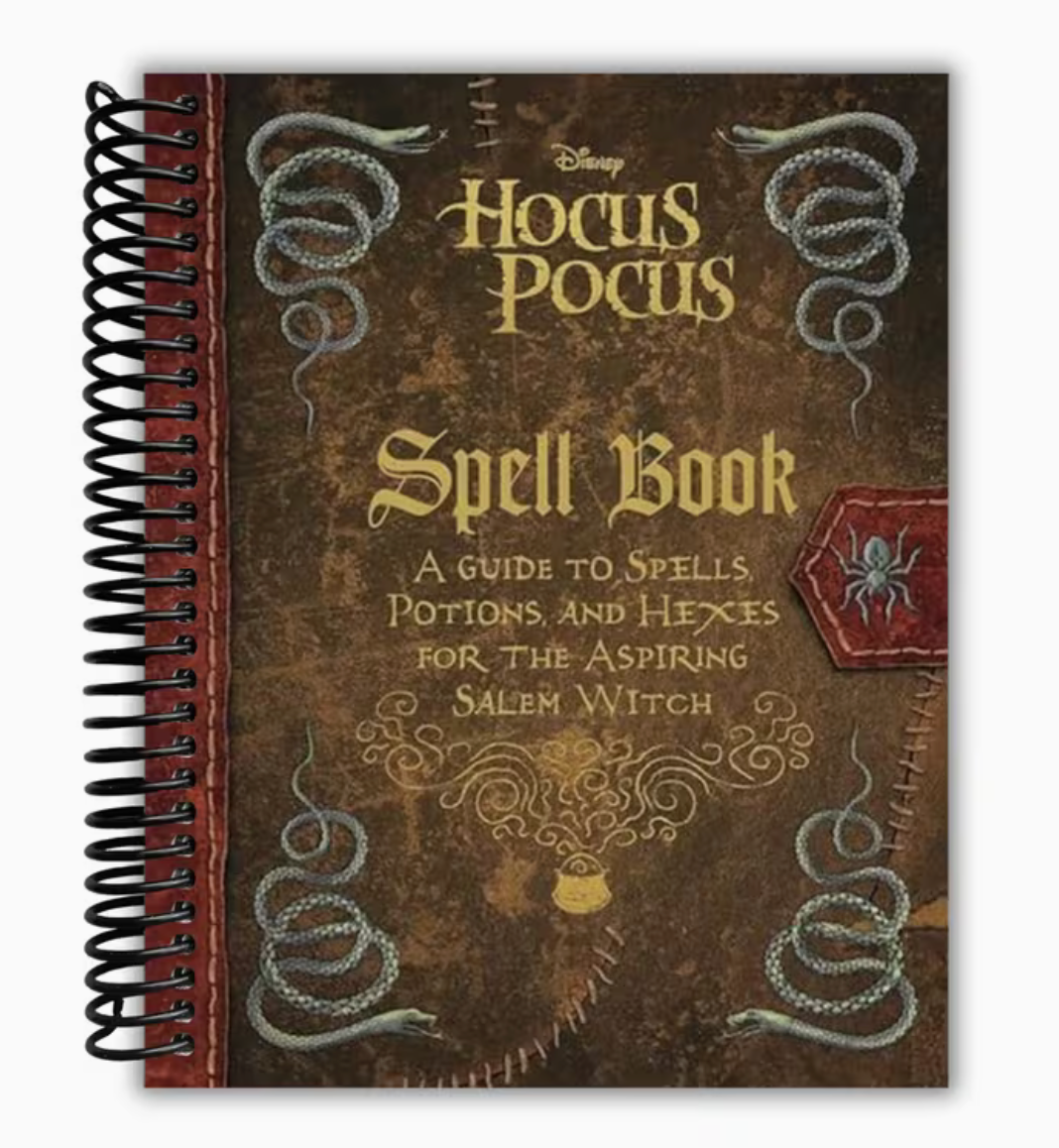 The Hocus Pocus Spell Book