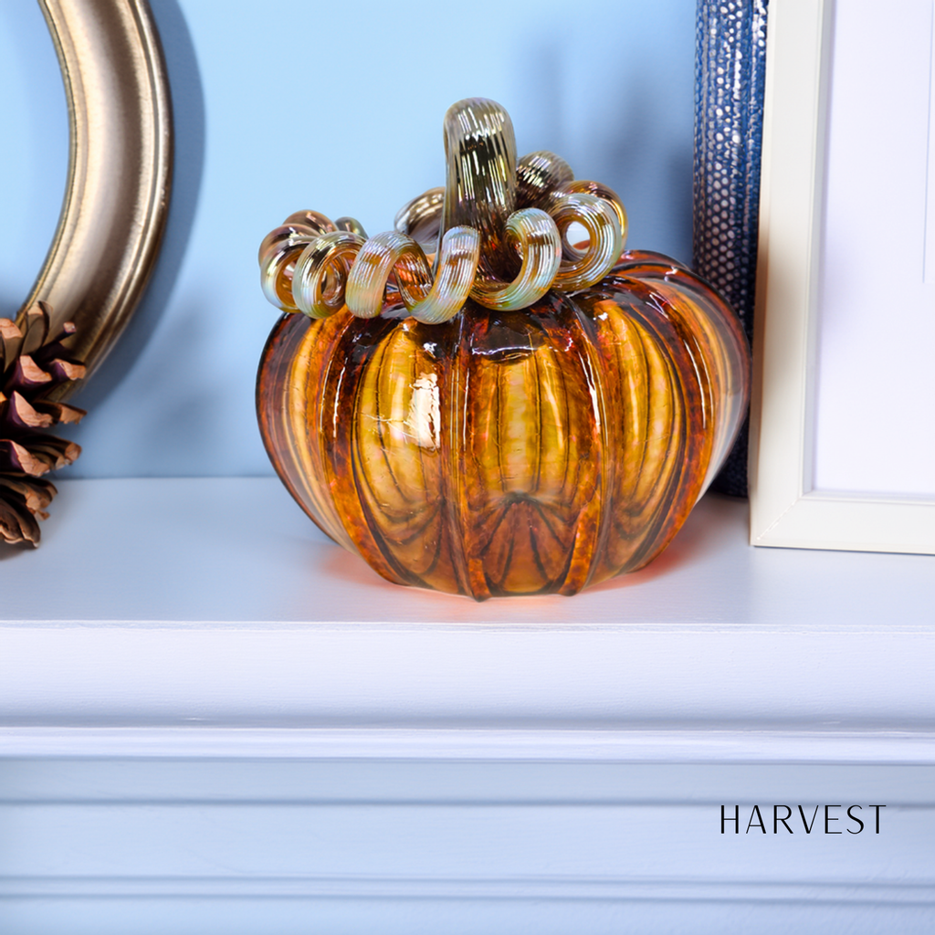 Classic Pumpkin Set 12 Pack