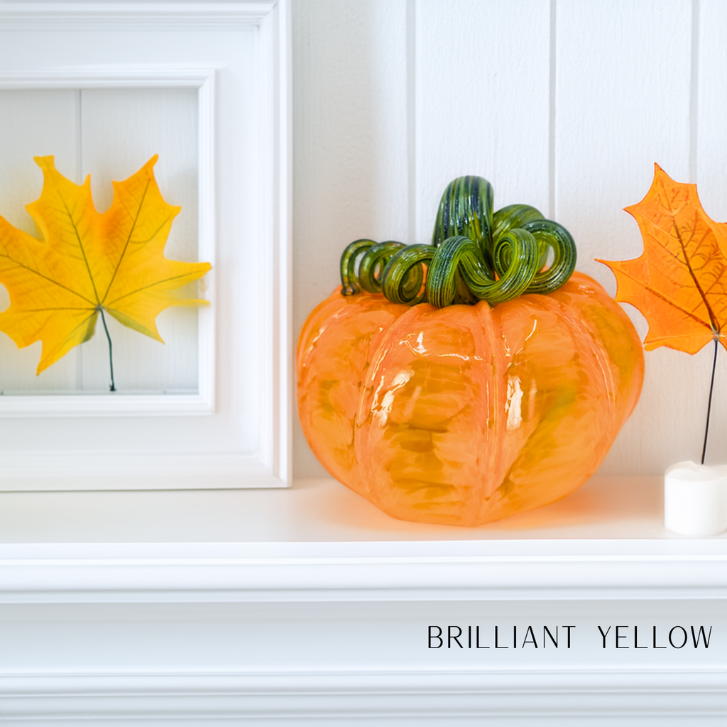 Classic Pumpkin Set 12 Pack
